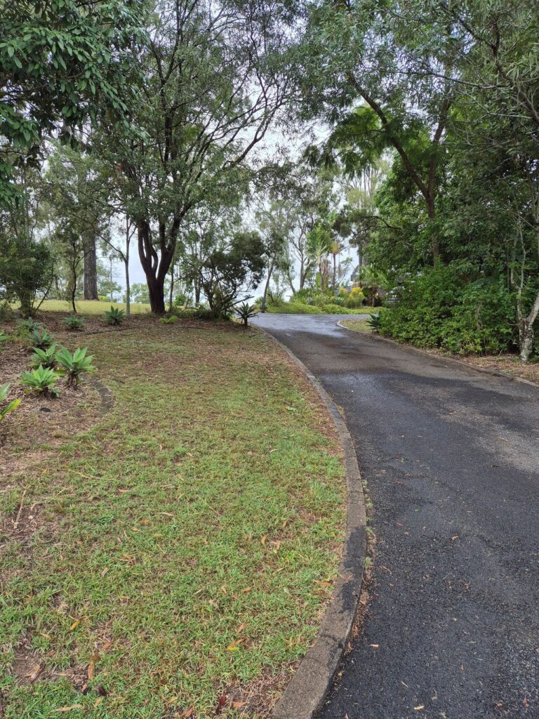 a foot path surrounded by trees and nature