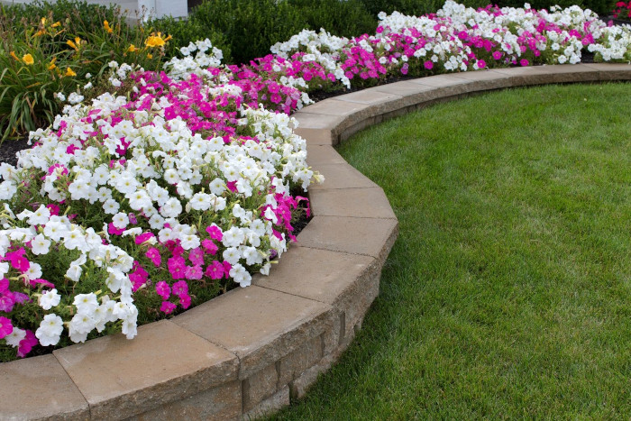 a garden with bright colourful flowers that are pin, white and a little bit of yellow