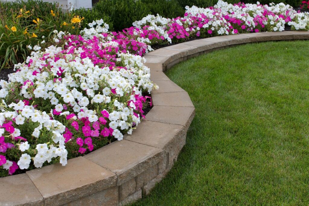 a small garden of flowers that are pink, white and spots of yellow