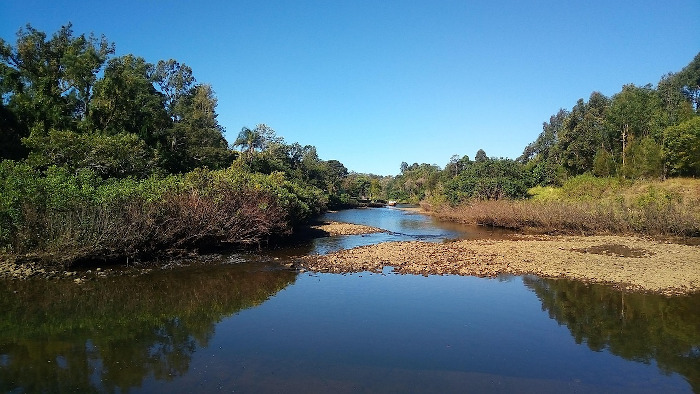 Pimpama River with trees and clear blue sky