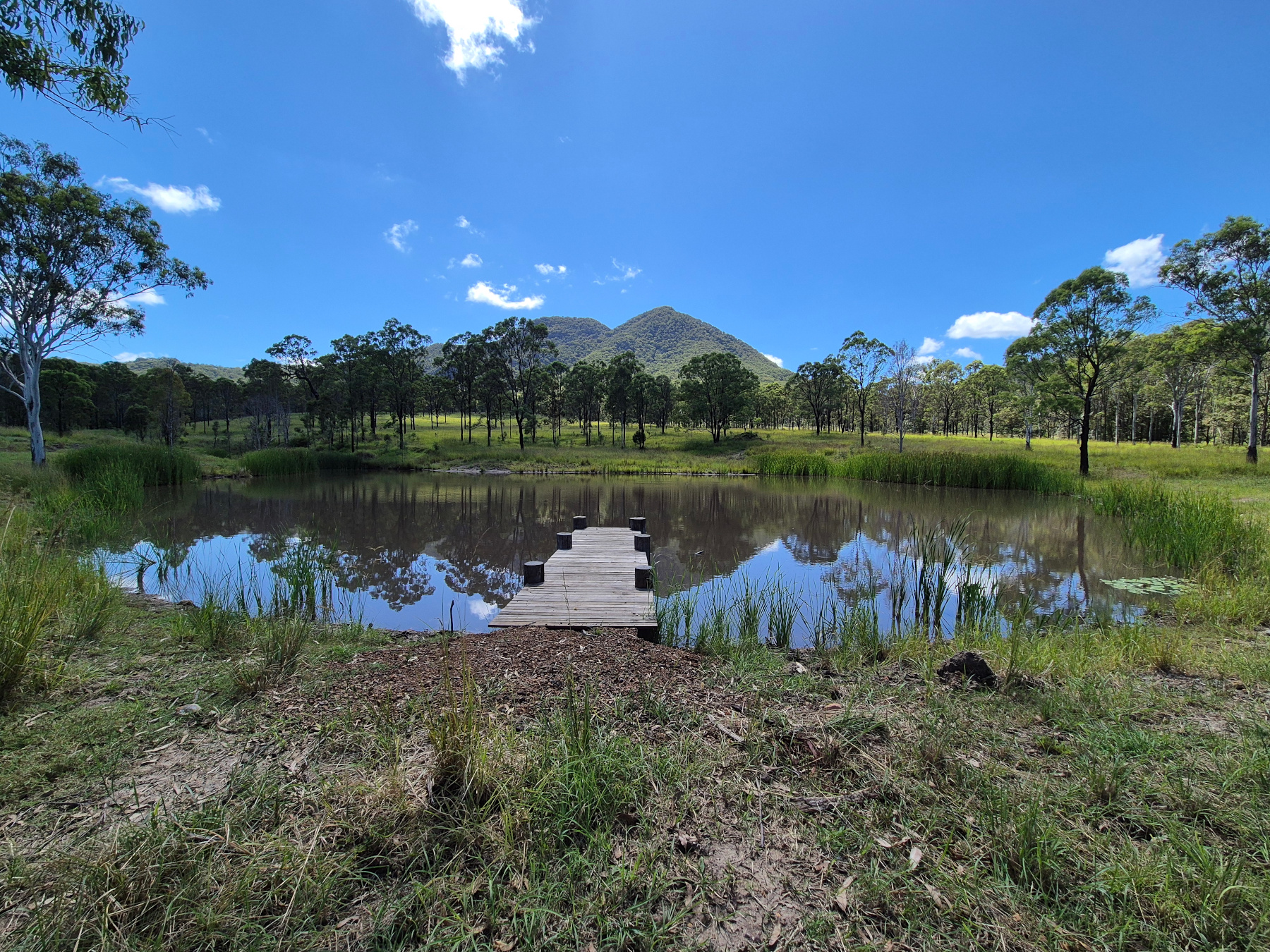 regional land helped purchased by precision property buyers